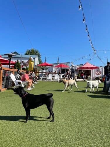 AC9h4nrwV6Ql yaND5d7qyWoGXNJABY8nsU19UrdwNeRl0u0l4  tYd02Yr97QGeg9Fk8R6dq6HKG wYUx3IZgh7L747NNXLLX6fhaLSjJpSMBHLOBtlbsd3Grmp norzky40IL0hjBy3gw1600 h1000 k no