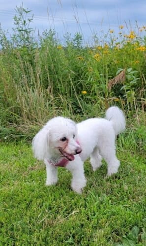 AC9h4nrwiBAnZlREUNzikv U16vfRswkiY2ufpMOx39NnaV6bXV7fFf5MHTsN8ycGX2aclQRSksaAtwBnzCP NmGVf1aUaDk7oRcQk9gXQxcg15Qzq8MRg0ZDFEAAdt5jhV47uWyadrOUww1600 h1000 k no