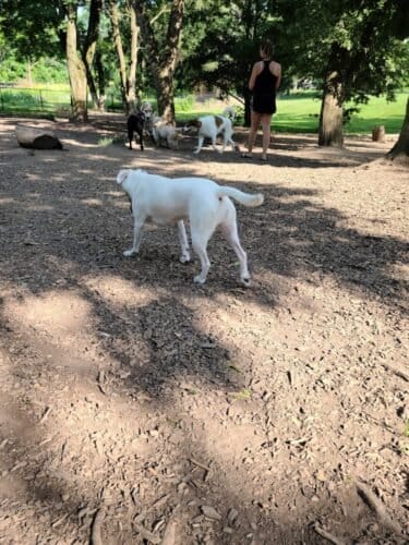 AC9h4nrwyIfwwS2ssu12oSW91b2t5eUscbJ2CH3ywPrKARwlE6VRvZhxmoOs0ZKZRWj9kt9YA4yKtLanIJB6UtbzFO6vq2dpaUihj5jCy9lFwGjOftsQIaxbstef21 feVT6ADO ZZy4w1600 h1000 k no