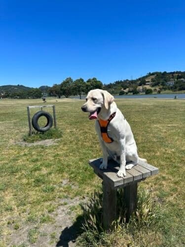 AC9h4nrwzVrE4e9wXWQEe0 fPys26frSt5Tp4AqeZh XJRx9HwZraYBBKpe8srUaYwpgZl4UlQ8 mbipMaNw5w6UaA1SxW87XkvnozwTXgw1600 h1000 k no