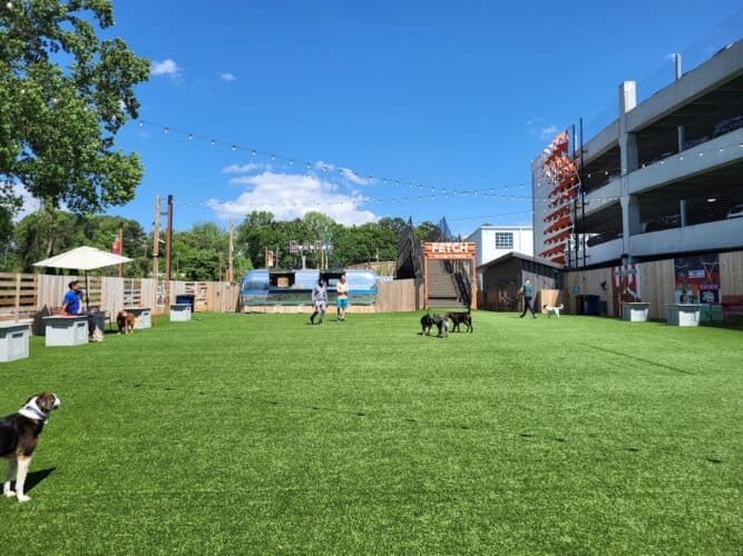 AC9h4nrx02  VrIlljs83cG fYD7bgasQ tKZTCgY45L1 MVpsTK5dBtDYAlHUZAA9J6yoCZXOzRdz7xDq 8Rj8DUNjH1p7cymr832AkSrIw1600 h1000 k no