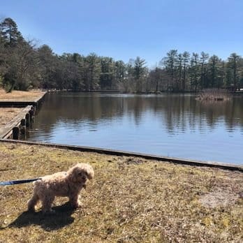 AC9h4nrx6 VCvk7DU34AXALI6dcbBjkvyne5HLTcYYK0VxcsWLxZwho7hI5mqNWbqvWm8 luww3IhilSoWXzkbpDyFNuWlvqQOcyC6mdNwCLfn HkWqhOyZQQ8OeHNQS0W tUeJsZ442Aw1600 h1000 k no