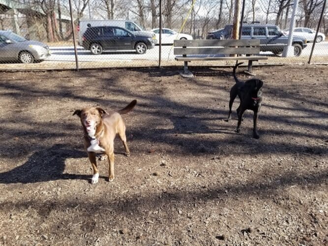 AC9h4nrxEUZKGHArjsBxdcnUjkmtvKXSvUc3FOfgF77hYRkmdHfb9d2zl4CmzA9XYMLBL0dKJYoWVCVxSYwIAheDFDg48l 1MQoghfvw7iy0ZHFfIqj3LoNAZQJaxXQZys4wBRvBSgtRhAw1600 h1000 k no