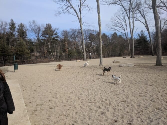 AC9h4nrxbB7zUBktmjvkua8eqLmdNQU6lvDz8aOL8VVhNNG8t7TacKbd1fnWI90bSlIp 77nT5cx8q3MCjOfr1kYr9 SMjur8 ULGHpEC8Dil 16XpQ6nMXjRY0o4fZSN0sGpVidmArO6Aw1600 h1000 k no