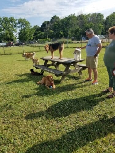 AC9h4nrxf1AxI1VelWFMwSD6iHNDTkzHLvETLM d8uJOYeZ dzyMz JDhxS8qyCS DgBTmjmz8SqbVBxgNMAs21c3uQ98q1QPtqSPn1sw1600 h1000 k no