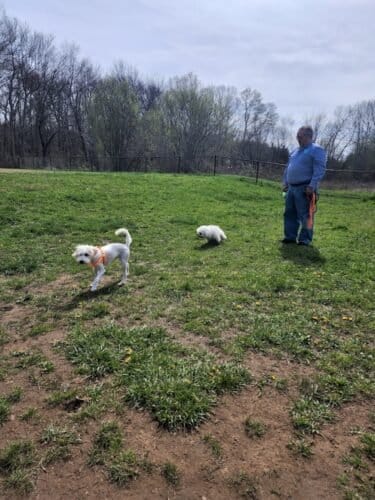 AC9h4nrxoYJoDSmRB33Bz5JIELhfYTRTJiYmTLBpIIyb8fJE67jWPgHnn4I Dj Y 4fA77PZW0 Zer6h0PgZg9P 64BrLw8 bnjnjNF2JcZhXfXskeV j5q7 xcq7yPEUWfhYa2qrE 8w1600 h1000 k no