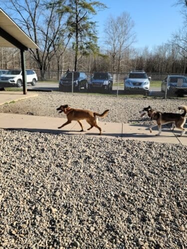 AC9h4nrxt 9IaP4IM8JNHWRFZ0vhKqmUA BSMU3XyGPlzGKxhoEeMzwNheHcJfcE4SfAbHO03 HAsotzUoH 6jskL iqHRtYUNWnnTKURJxaYnCCqHqRpzGIFx8lZVCsoIosvaJrfxi3w1600 h1000 k no