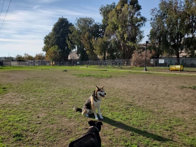 AC9h4nrxyRy1K2YBMP6EX1uouHEwYs12YP5cO0SEkFJkN7aDM6KbDJMlW12wJKQEs9gV L3PTMaeJCV5wKNIR1CRig9o9o9Jv jPwiLBIh3H nYO4kAK8m2XY1r7Vxqfy92 FG2gHGLlFgw1600 h1000 k no