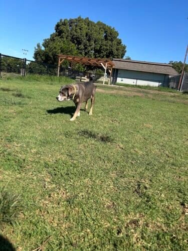 AC9h4nry3sTZbJnIjBLqzTYBQ KJB2AKLWsO3qYAaLO5OukG hujxk21Gt7c1160O Sed 28Mzc4u1yrukOws1zw ZNUmXcgyub4MPKLVK1nEA2jPc4oq1nN01 kB OLWEZCBygsih8w1600 h1000 k no