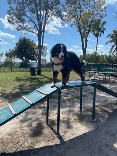 AC9h4nry5L7XYX0t2LqIgzOZxjz3 VoFolLYAlUgy9MfesShRZCVw0UpPmZP42hOMJeVUHQ60Jxx6P4gKa9RRMzVH39QlX4c2VZ6zWTyIEmWnb5hQVu258QcYZwoEr9DWFRTeMFv434w1600 h1000 k no