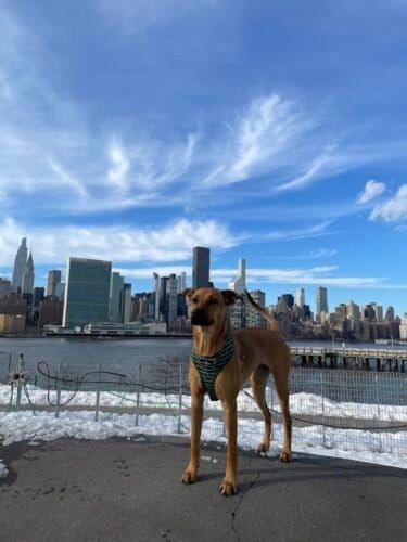 AC9h4nry7RTXYM7m60T7x5AujP wtV8YZTbL7rFXjtYqU4vXQBcGd72DWbjsxH2YLJFOsCQQ5850fl4Kfvct9kPO TblPInPSPRohpeYCDUR A7OBHg 5HC7PyjkfETK0B qjffuVCx1AAw1600 h1000 k no