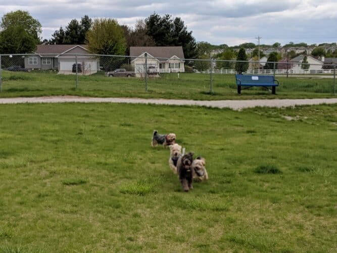 AC9h4nryHdeXFd2RwCLCOOy1VDvJUvKxWNQqtxvftviHO2rxKh Yku0Kfgd0c BLptIaE8s49A WkVPv2U4d5r9A6GRTn5lGIpcfrRcwBFXe2vWIggQLtsDADlcNWuq5Bw4oZL8MZEkaw1600 h1000 k no