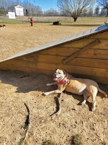 AC9h4nryHkf401JZ6Pe79CJ6PvQA065jNe dqSRRS50 nB3R46MwpKyoB9GX9aV7I8uZg31cdUlux0XkzavhUmjzZSoQZLQH2 Cw7SXTF7065cwaroeAAaWQhe RzPI7I9GHjO6H33Mw1600 h1000 k no