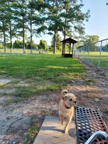 AC9h4nryQWIIX53hlIM7GBYx5GxIZ71zSM4DDkINBr69it 2oSxKyAv96BY7Crvr3OV7SmsZ9SrourV 37 Z ZAzvJR0FPdhr0VDkHR49Xdfn3qYoCuyfuwd qYFLtcjcI0kzOJlZv5mNQw1600 h1000 k no