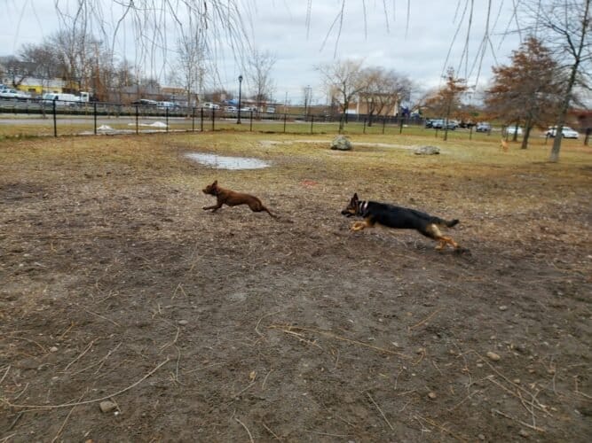 AC9h4nryXNFNks2xTKn03QD2QO9bD2R2KmrZGtp0wwPwdbz9zBWjLvXLQOkDEVCmGpveqNdVSRVworiLvzrjXFnbY2JYrKS3sX14XUKABzP5PFmoiWEXC0Y4G1AQKtq56031 7rnBF9Ongw1600 h1000 k no