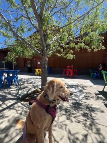 AC9h4nryXv wrqz5RmKrTI3olFZO8tGNS4oaDHXMz3XC 8O1rjHjYZJ zwDfbcSHOC SVBqBNHanVOD3NJ8olATB1q4yC4hZPr12grHvr3gFnp3WHm9dw TzyqiQXn6wXp oMFQnQdXmCdUrnI1bw1600 h1000 k no