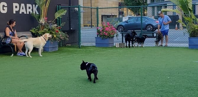 AC9h4nrygvNCAEiBK6ViHNwmb3suEVfCsnR7tf8nUm2bEPGi4YQR5xu4MaxyaSUoH4hiArC6AjDI16iq4RVSC9Lomw ogyBCj54SjRsctC1jlsDfsvpsVdy YXWMsA  qtYbytlQZbww1600 h1000 k no