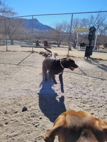 AC9h4nrym02N2xz3S ZqoLciNmdizjJpO0jFbWURx3sEUtZTDYaNrsFabsY6TKpJPNRdTiASnY0 jhoS2LXjcHLOGR RRBGtja fmqKa b0TMZMlzFML2qC34R6S5BKTtes7MHr6vXVb3Qw1600 h1000 k no