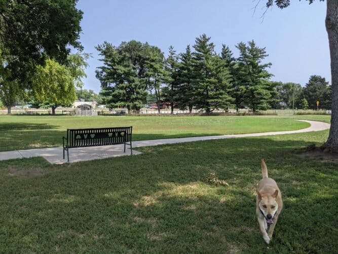 AC9h4nrzGHEFPLh7uW5 MiIehG6cfKFTtHr34kI7gKHF7tIg8yWHH41sBmb9Oxj1mr3ztjF7vg dkOJbfl0YfRvmoRV48y N6L2vMKK2W22Bam6Vb0Qx gbjyBcOUviTsyDRYqehSIT w1600 h1000 k no