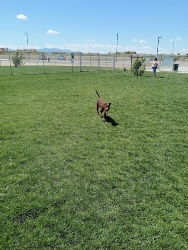 AC9h4nrzS7Mx U3YgNvL20WLPy2FVQFc84qk011d0KdVamcnRDuCV gJaUV1pVLgI3iYNWK4SsGDhoEfhX cEtsS0PhLbCf8LT9MS7eOM ww1600 h1000 k no