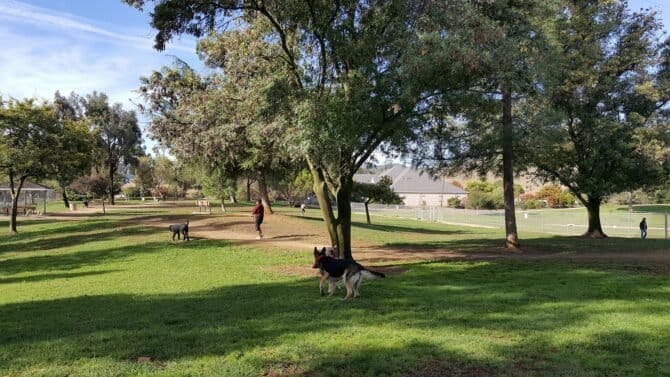 AC9h4nrzg86ax1SxpYRLZ8c2wRvZHut75 rqdOdM5MB8Qf D tx7T2dLivgJZ3io7v5vjlZbc3jJ9fTuajxTM3eKJnj2QyfpInEGxSplVDQGnD7ZrHwr5qAETedXaS6e5NI3Hc TDA8K Aw1600 h1000 k no