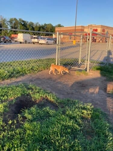 AC9h4nrzky8JZdXXTOVdzUJpXH WRWuhhSAF6hs1uTYAm9u9 NeSDLGkLdyqYSX F5WlBaWUqI2w7omj4sbllTJ6t81mupaNiinfr2C gHE1YDWbsXHrA 0GB0IzK j2qs0ndvnLakVKdww1600 h1000 k no