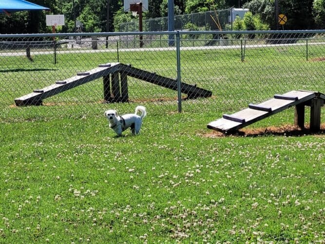 AC9h4nrzuaMPRbn1o 3 lJ10yTmpGsRWOApYtHFIX5pPqIsFFjHXyWuGpN4i6Lo0rTu5K04p0qW87i8jawyS5QU9vg3rQZdNDfRwu5StiqkRox0qr70l9wp5DeVy0JpQCMmj5NInmG213gw1600 h1000 k no