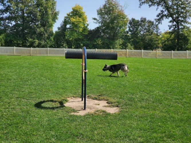 AC9h4nrzwsMv9WnMXn5K1grZE8nd2M2CV4wTuVpJTk1lCNIKMPViDhVmAcxjOEMpt50piI4zQTy7WIdU25TYAoJIySltxOj2kVI3LgHYS6Iw1600 h1000 k no