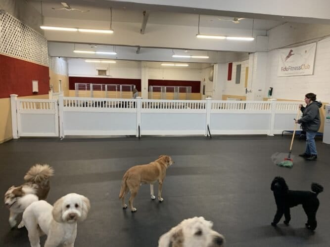 AF1QipM 4FFai7h4GMgQ7JEFo cxG18lqB1J koftSqZw1600 h1000 k no