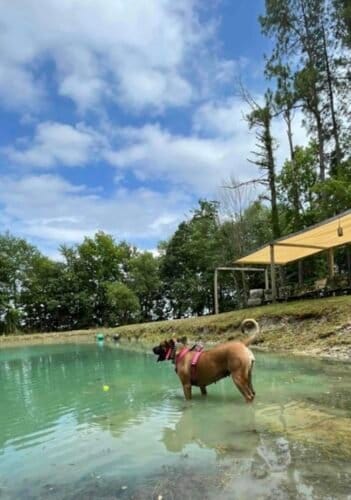 AF1QipM0Cjunb98qq9luBfcq1wRMFdI66MzVGLgGNHplw1600 h1000 k no