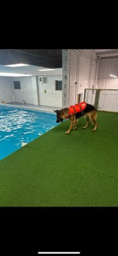 AF1QipM12IEkJUZWmgRLGp5sP5AjcqNDQ8ApFaIveVFQw1600 h1000 k no