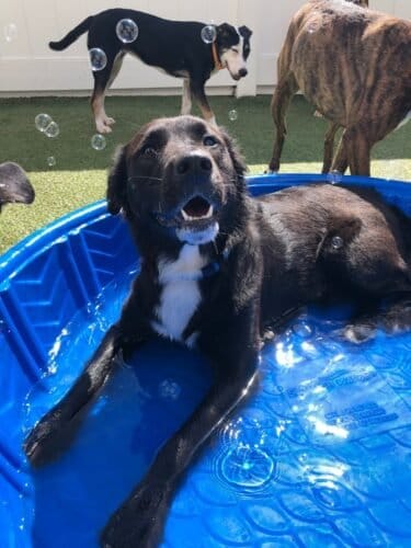 AF1QipM1AcnTlW3pPOGjkfgt5W8C26Hz61vGPorABaS6w1600 h1000 k no