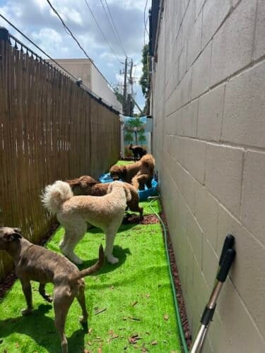 AF1QipM1D4dJ4ICfmYzn7xTOvEFJT7y7T ZvppxaohZ1w1600 h1000 k no