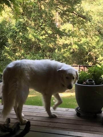 AF1QipM1fgk74wFnrvWtdmhCuF4S Pm3 HbeYnbLBirsw1600 h1000 k no