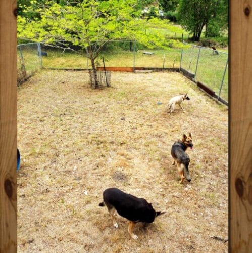 AF1QipM2hg5AG if51iD8s OEz0FLaFB B LxL RG ESw1600 h1000 k no