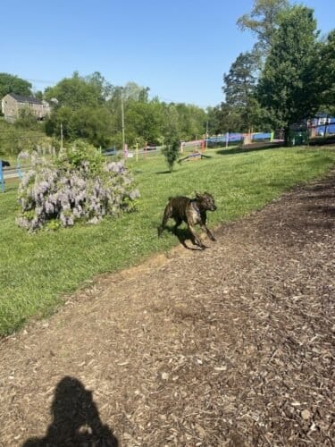 AF1QipM4YmGUQj ITgVbGqy3TzI72g4rTOktRTSal662w1600 h1000 k no