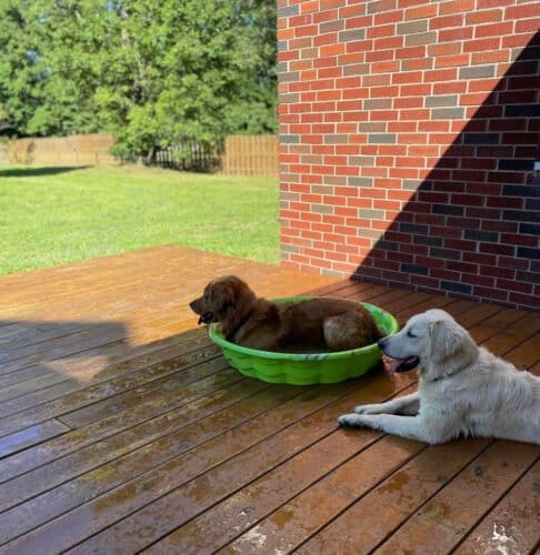 AF1QipM4u0EJd kfkf2FCwudsu17XXt 9 lQVau9feTkw1600 h1000 k no