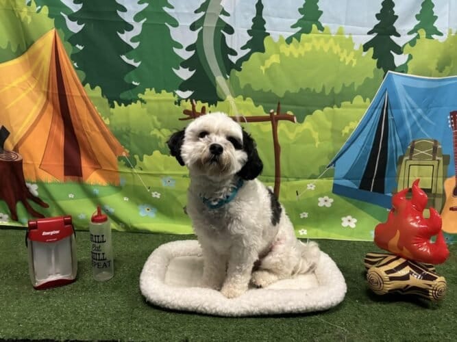 AF1QipM5AKnaIBnFQfbZO9MlyHvB9OV8LUpefnIl3d4ow1600 h1000 k no