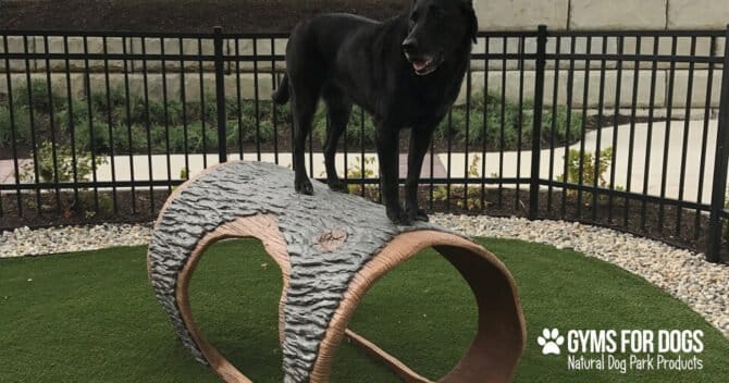 AF1QipM6aj P VavAW4fJkSCSSAA HQUTON Uvx9 6nCw1600 h1000 k no