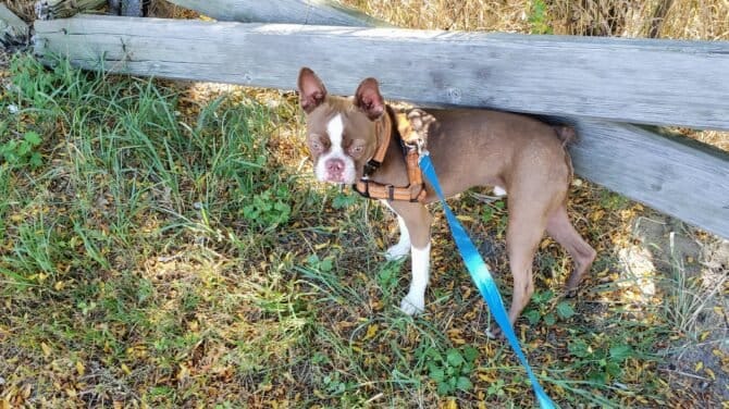 AF1QipM6w1fGN86O71facnw6g9WBkIdhFQ78rjjYFT0w1600 h1000 k no