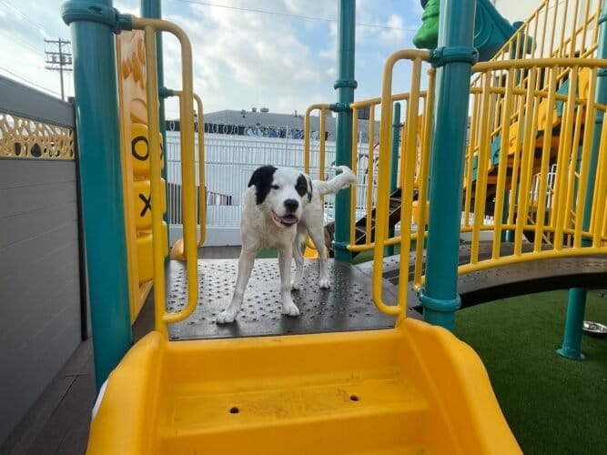 AF1QipM9jPdh9MWeHKKIcRpiRTx P6o43WD5mhTbj7Smw1600 h1000 k no