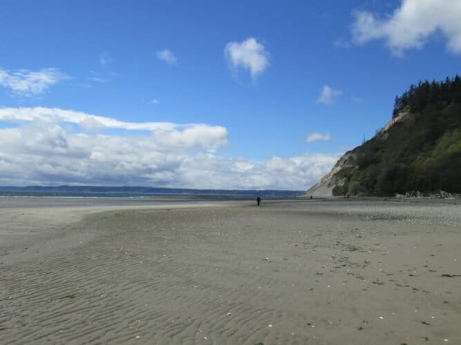 AF1QipMAT9Vje3q5dU yG1AT3nMwJEqrQnjeK3DD7s1Sw1600 h1000 k no