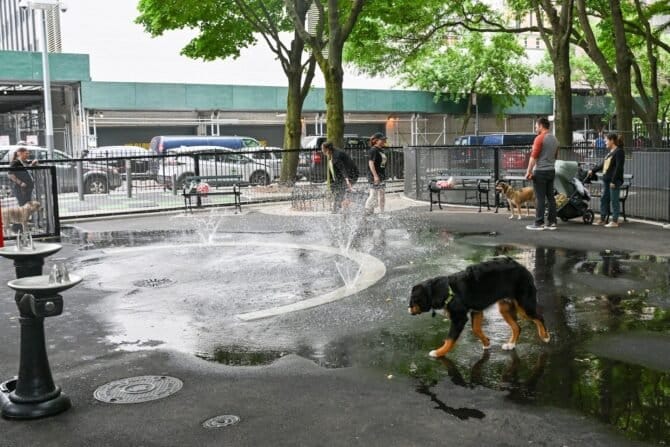 AF1QipMAtLfM5w rrso O8RUyqCYrmiRBHtO10qetmwWw1600 h1000 k no