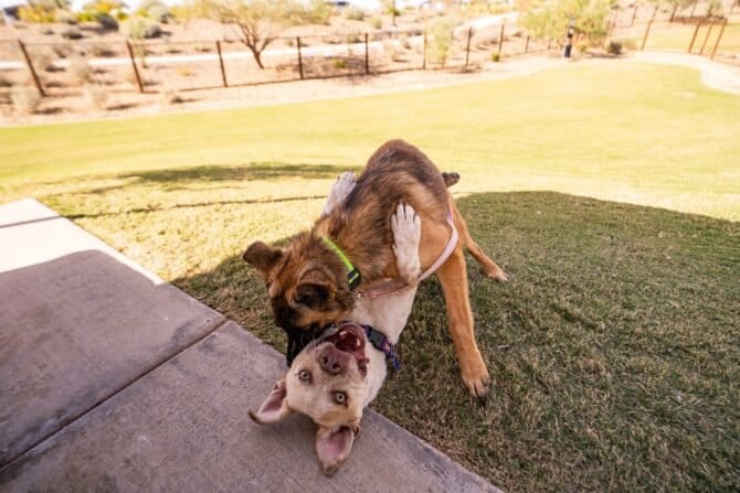 AF1QipMB9Z4DrwP5 sQnifkvdWJQts3ZWfVCmBlGbxg2w1600 h1000 k no