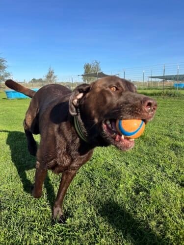 AF1QipMDvlaD6LFQYrQj32NAtsBspJ3w2M5GZjM5nZaSw1600 h1000 k no