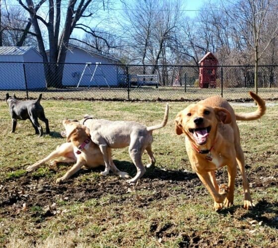 AF1QipMFBTGEH7TVCbWEjCsRImRuiqnjiexOS9TDFAZcw1600 h1000 k no