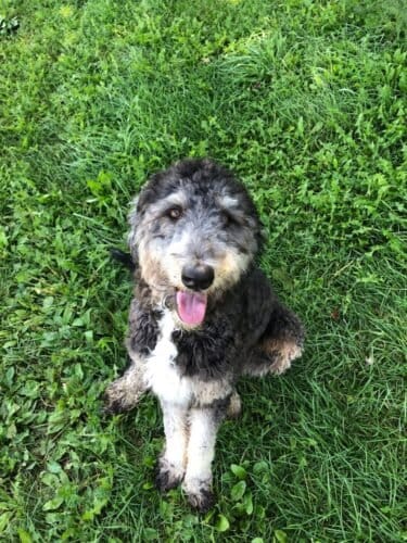 AF1QipMGvt9bAOsPYdv46xZXIDTFN PmzaZrgmuyXhgPw1600 h1000 k no