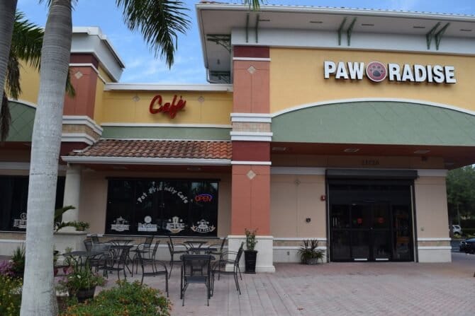 AF1QipMIUzRO5yQZB7O5fuObos97Po9KN4FZyqYkl8Qww1600 h1000 k no