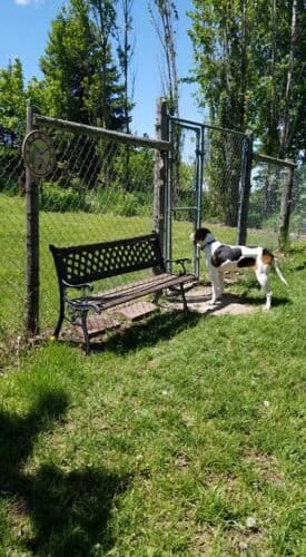 AF1QipMJLV2dhfWjwyDNFgbSeCkgfXUWvsMVI7XdTpVew1600 h1000 k no