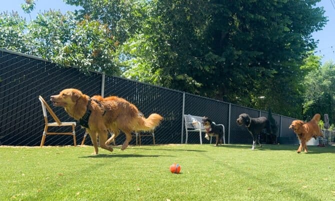 AF1QipMMiWlXHTpEmQIBZdqCNzFJh9uxMvvwLF qdLTGw1600 h1000 k no